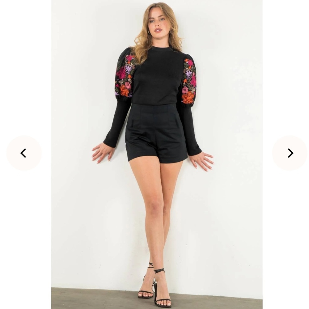 THML Black Blouse with Vibrant Embroidered Sleeves - Picture 5 of 8